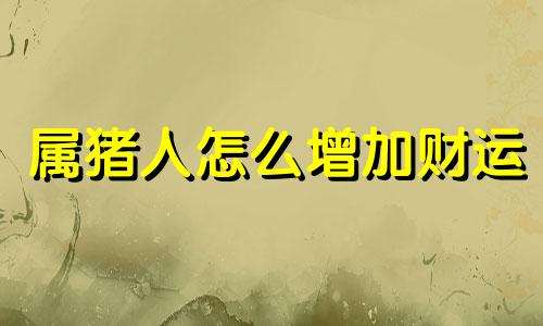 属猪人怎么增加财运 属猪增加财运事业健康运小妙招