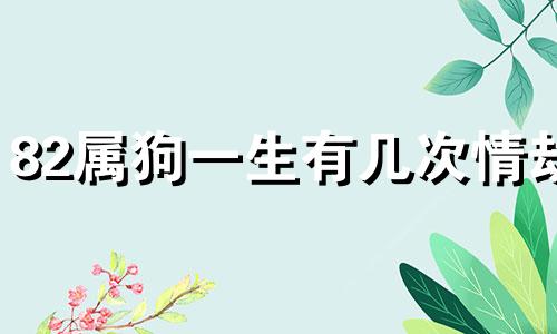 82属狗一生有几次情劫 82属狗一生有几次大灾