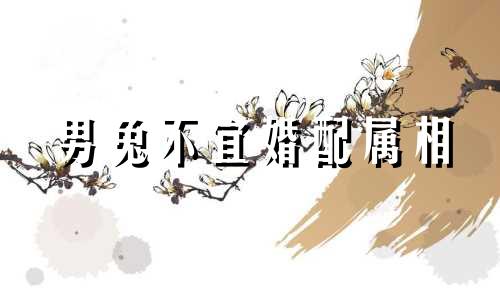 男兔不宜婚配属相 女兔不宜婚配属相牛