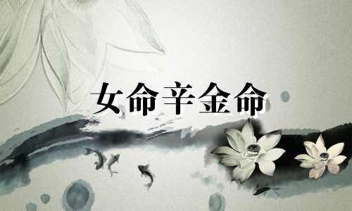 女命辛金命 女辛金命的人,另一半是什么样的
