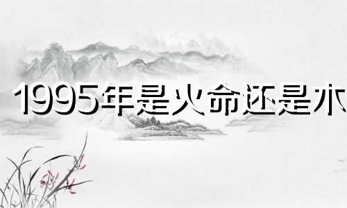 1995年是火命还是木命 1995山头火命的人命硬到什么程度