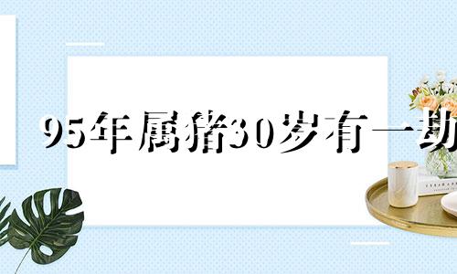 95年属猪30岁有一劫 95年猪五行喜什么