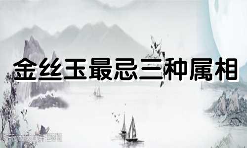 金丝玉最忌三种属相 金丝玉是什么属性
