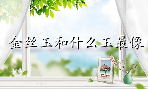 金丝玉和什么玉最像 金丝玉是什么属性