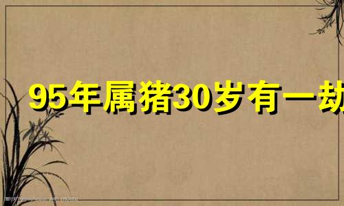 95年属猪30岁有一劫 95属猪住几楼最旺