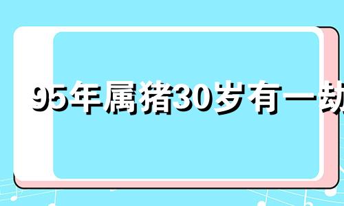 95年属猪30岁有一劫 1995年属猪走大运在哪一年