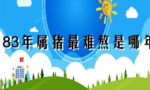 83年属猪最难熬是哪年 95年属猪30岁有一劫
