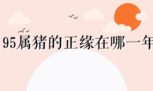 95属猪的正缘在哪一年 95年闰八月属猪女一生婚姻