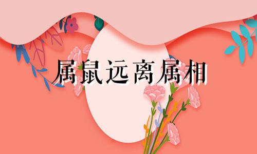 属鼠远离属相 属鼠的遇到什么属相好