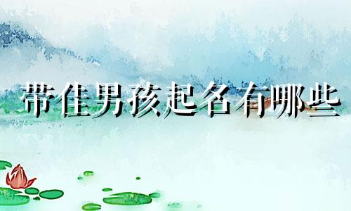 带佳男孩起名有哪些