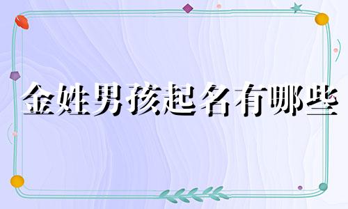 金姓男孩起名有哪些