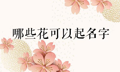 哪些花可以起名字