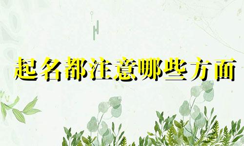 起名都注意哪些方面
