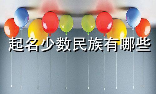 起名少数民族有哪些