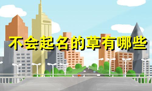 不会起名的草有哪些