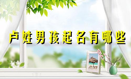 卢姓男孩起名有哪些