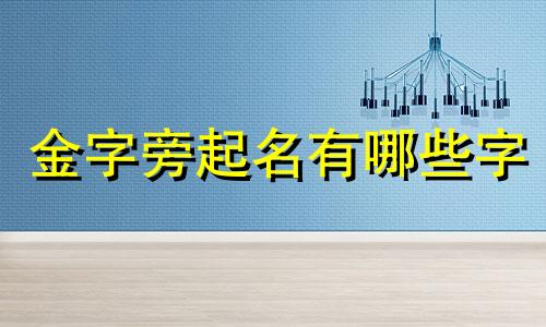 金字旁起名有哪些字