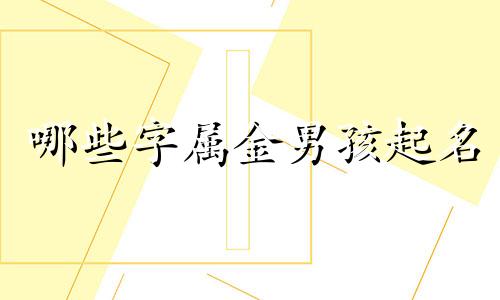 哪些字属金男孩起名