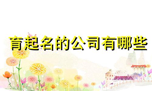 育起名的公司有哪些