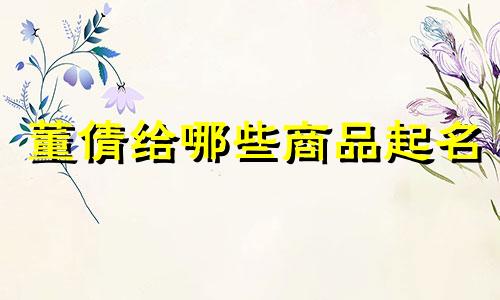 董倩给哪些商品起名