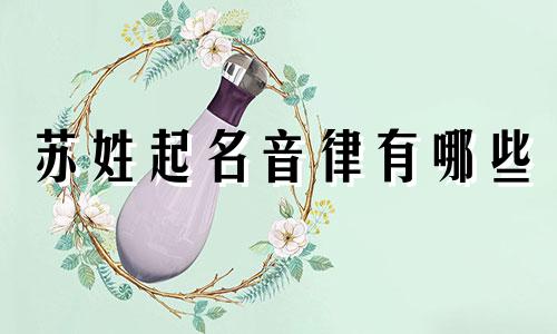 苏姓起名音律有哪些