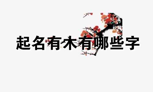 起名有木有哪些字
