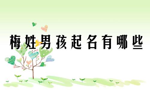 梅姓男孩起名有哪些