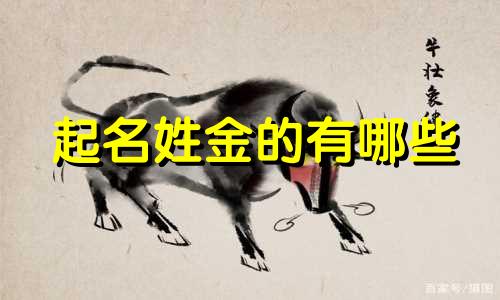 起名姓金的有哪些