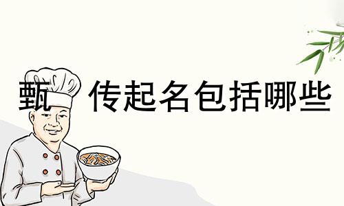甄嬛传起名包括哪些