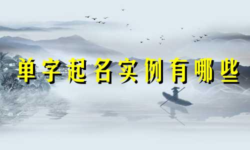 单字起名实例有哪些