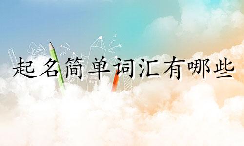 起名简单词汇有哪些