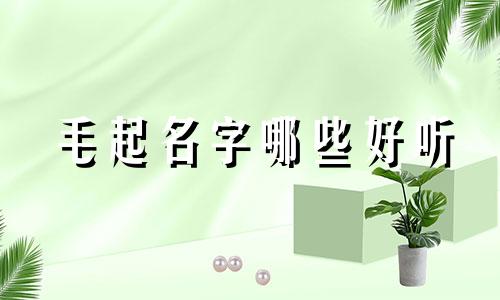 毛起名字哪些好听