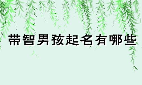 带智男孩起名有哪些