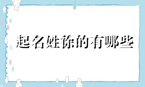 起名姓徐的有哪些