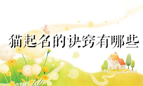 猫起名的诀窍有哪些