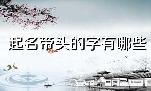 起名带头的字有哪些