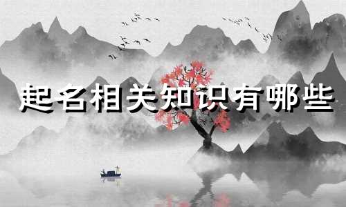 起名相关知识有哪些