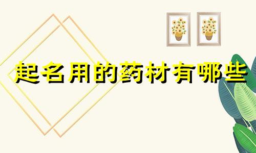 起名用的药材有哪些
