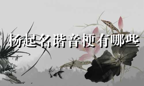 杨起名谐音梗有哪些