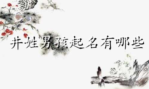 井姓男孩起名有哪些