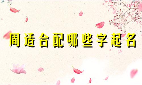 周适合配哪些字起名