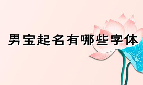 男宝起名有哪些字体