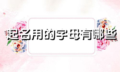 起名用的字母有哪些