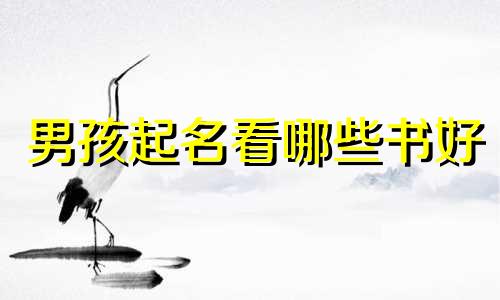 男孩起名看哪些书好