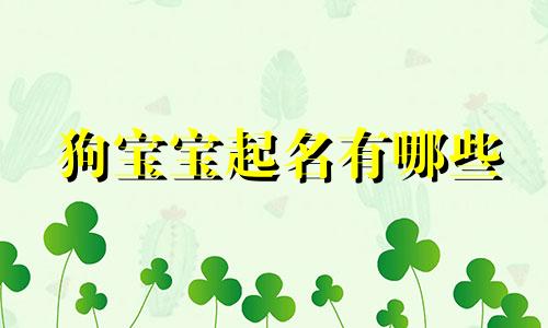 狗宝宝起名有哪些