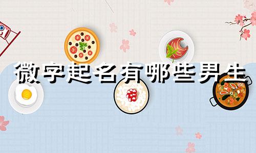 微字起名有哪些男生