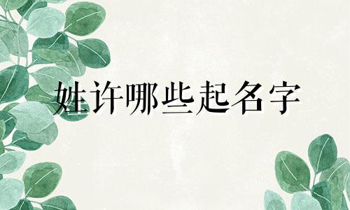 姓许哪些起名字