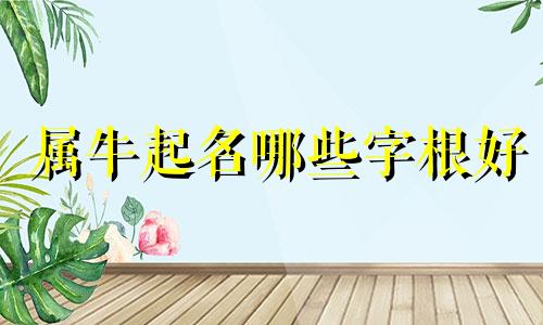 属牛起名哪些字根好