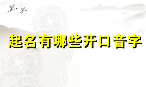 起名有哪些开口音字