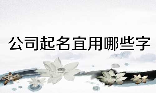 公司起名宜用哪些字